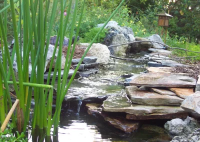 Water for the birds and to soothe the soul