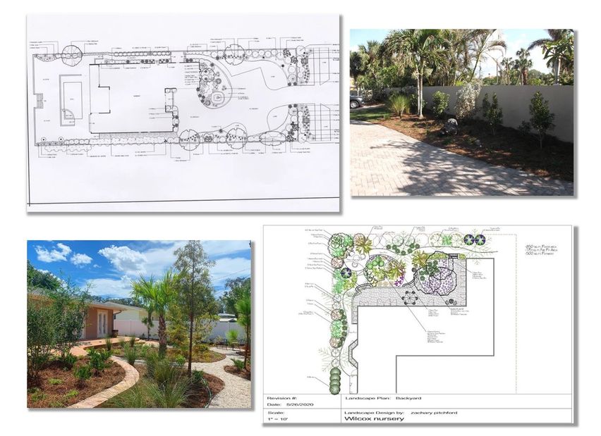 Design Collage 2 Wilcox Nursery