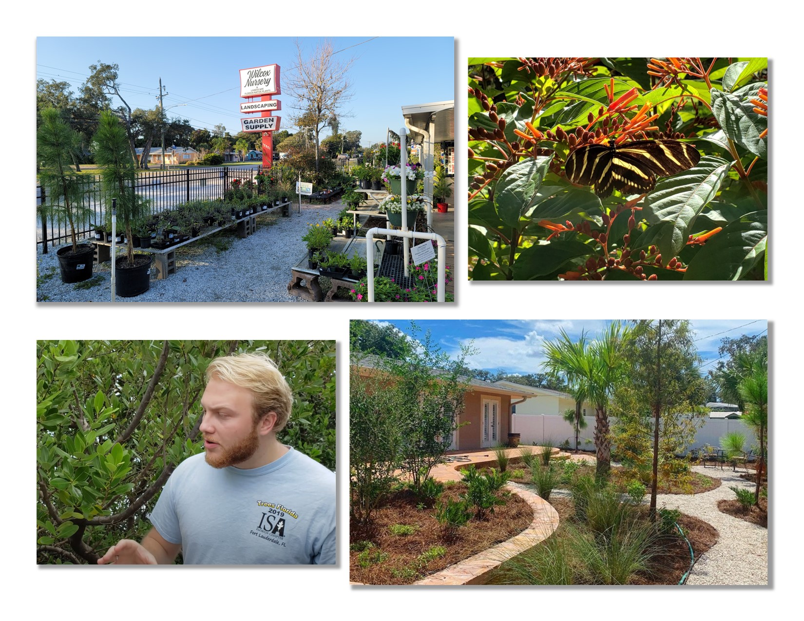 Mission Collage Inspiration