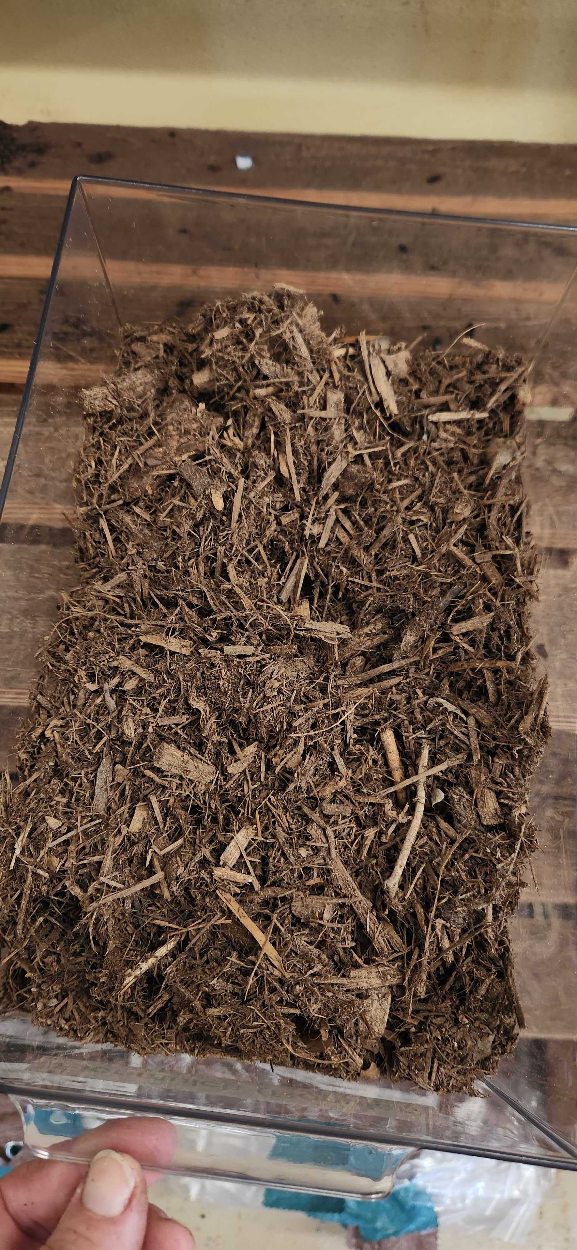Florimulch Pallet of 70  bags
