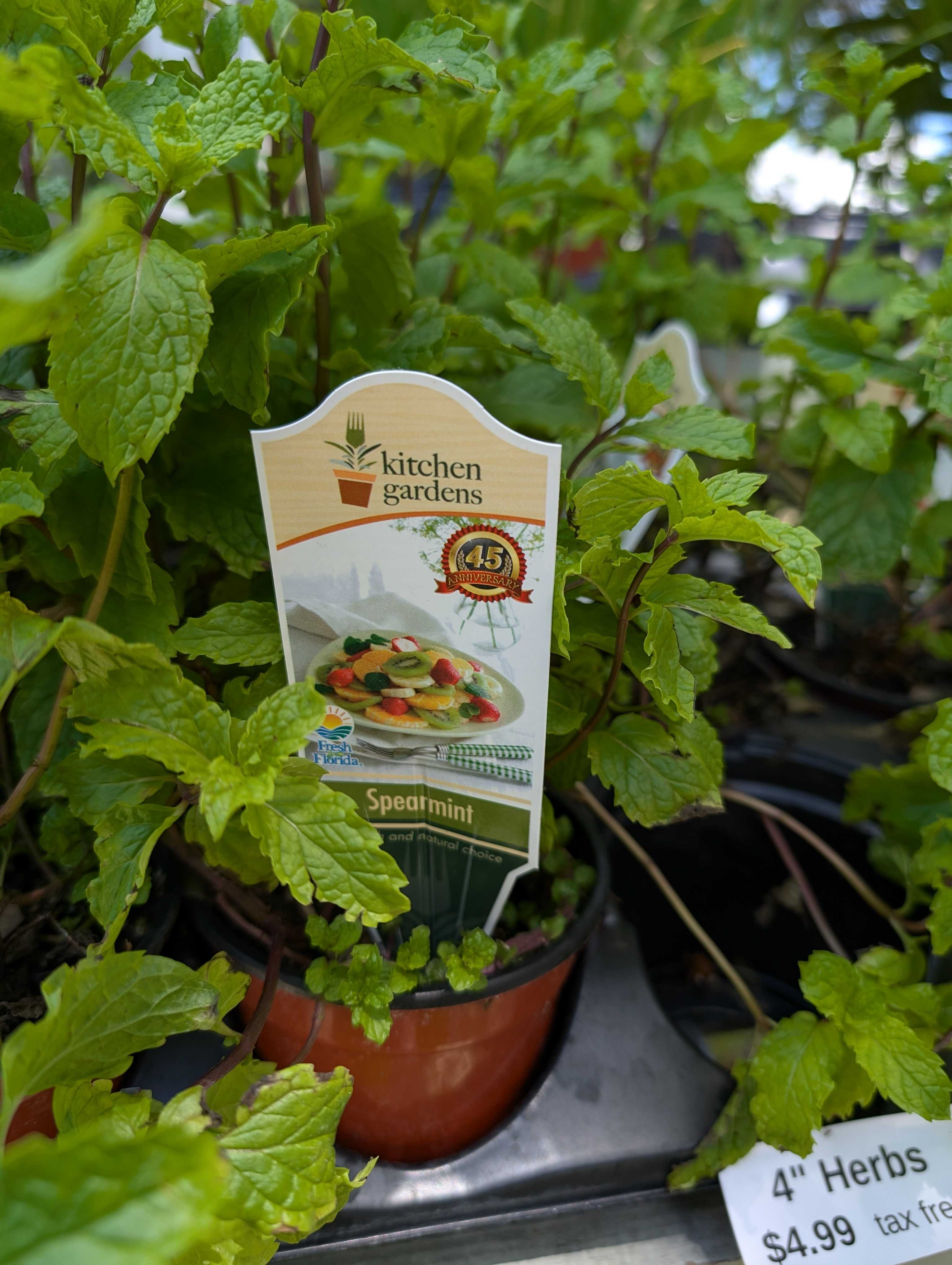 Herbs (In-store Only)