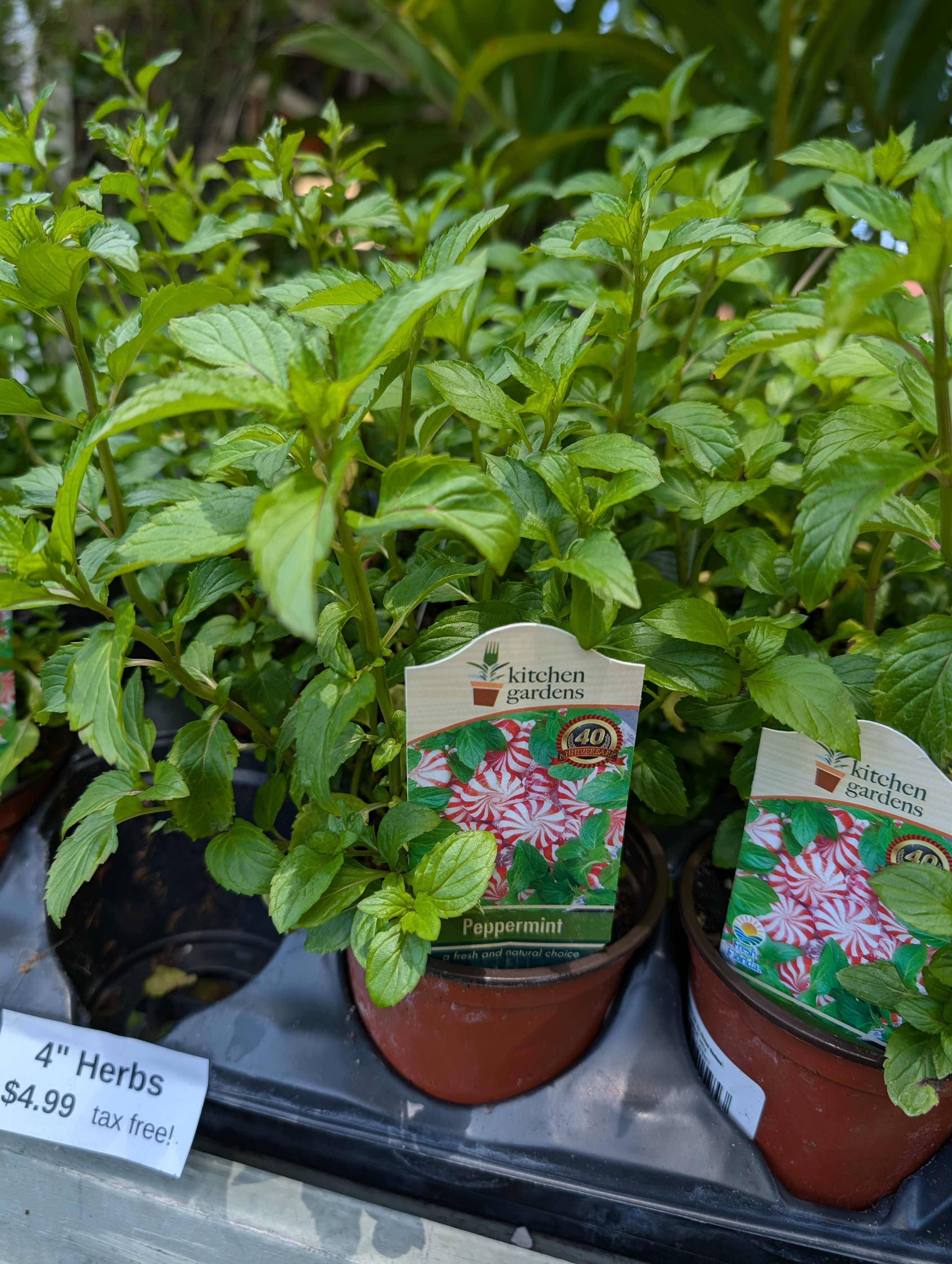 Herbs (In-store Only)