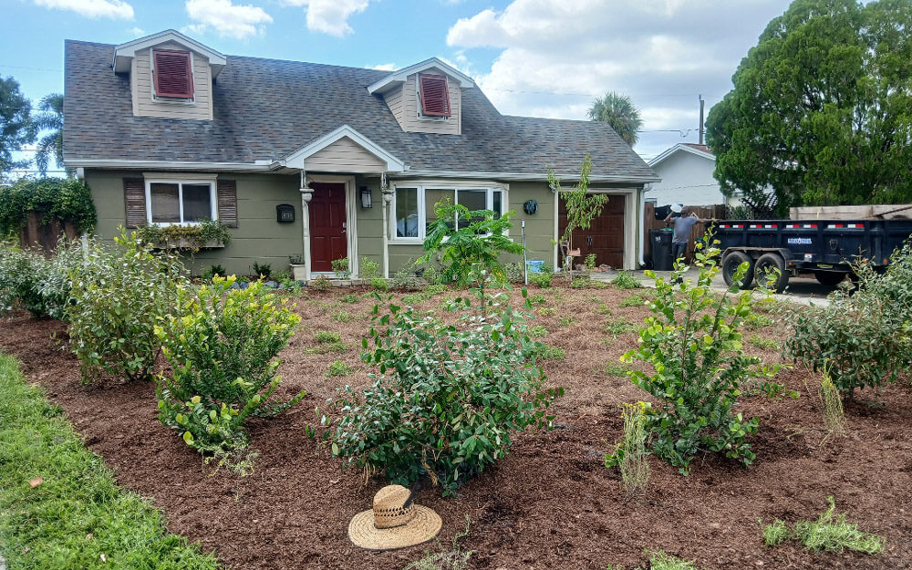 Overview of Florida’s Unique Climate and How It Affects Home Landscapes