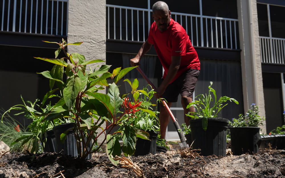 Best Times of the Year to Plant in Florida