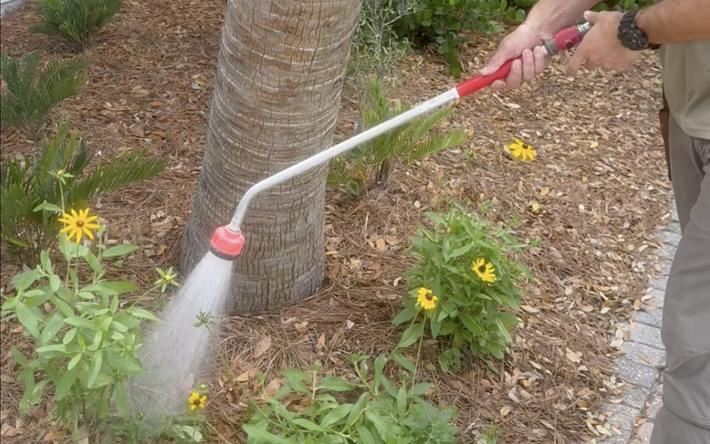 Is It Worth Hiring Someone to Maintain My Native Yard?