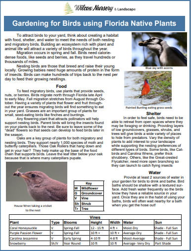 Gardening for Birds using Florida Native Plants