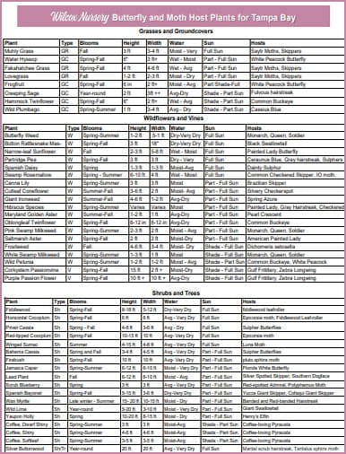 Butterfly Host Plants for Tampa Bay