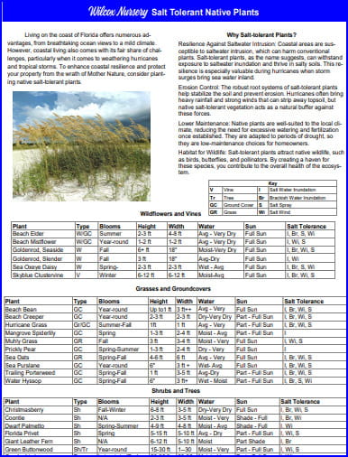 Salt Tolerant Native Plants