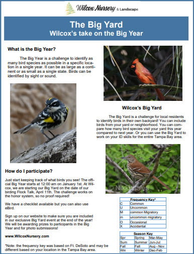 The Big Yard Checklist