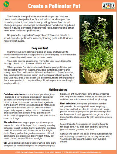 Create a Pollinator Pot