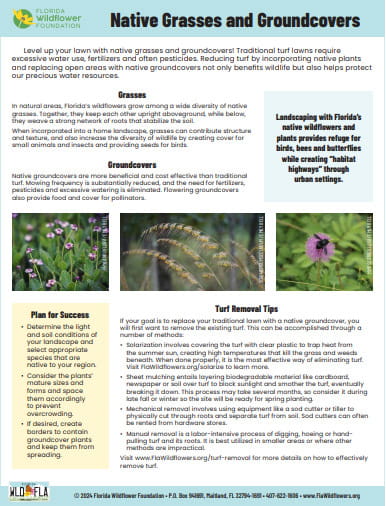 Native Grasses and Groundcovers