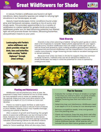 Wildflowers for Shade