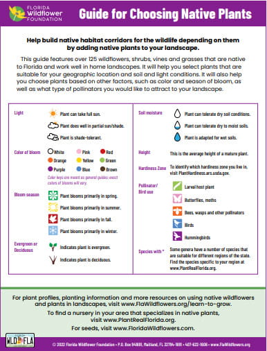 Guide for Choosing Native Plants