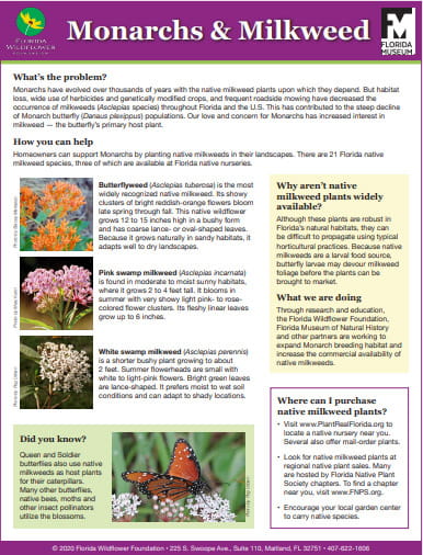 Monarchs and Milkweeds