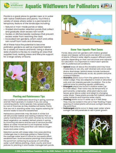 Aquatic Wildflowers for Pollinators