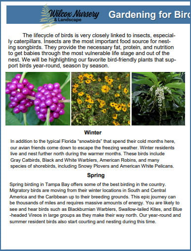 Gardening for Birds by Season