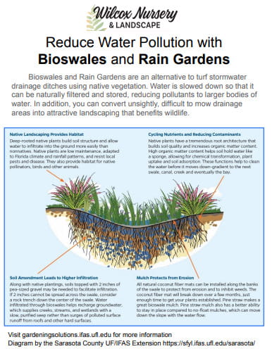 Bioswale Handout