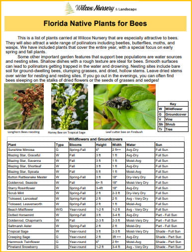 Native Plants for bees