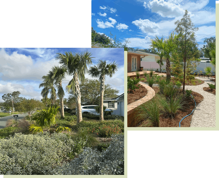 Why Florida Landscapes Require a Different Approach