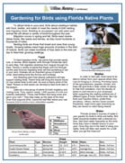 Gardening for Birds using Florida Native Plants