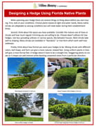 Florida-Friendly Plants for Sunny Yards