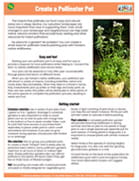 Create a Pollinator Pot