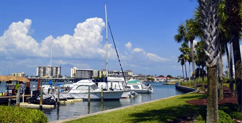 A Better Way to Landscape in Pinellas County