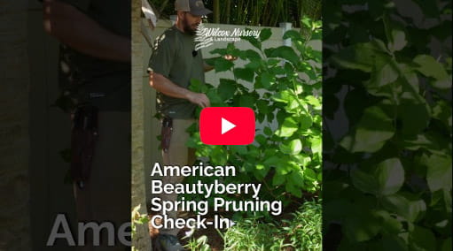 Choosing the Right Plants for Your Yard