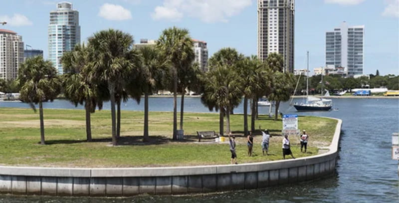 Designed for Outdoor Living in St. Petersburg
