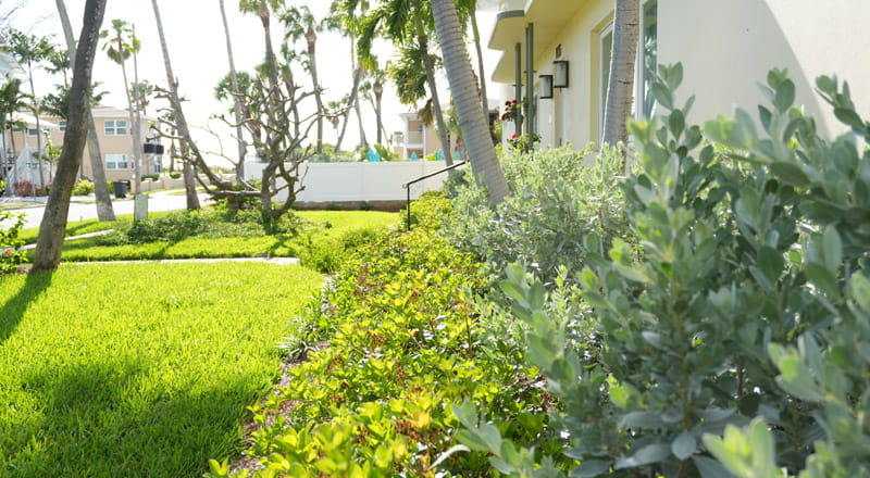 Garden Maintenance