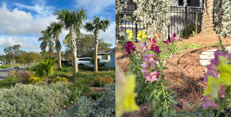 Florida Native v Florida-Friendly