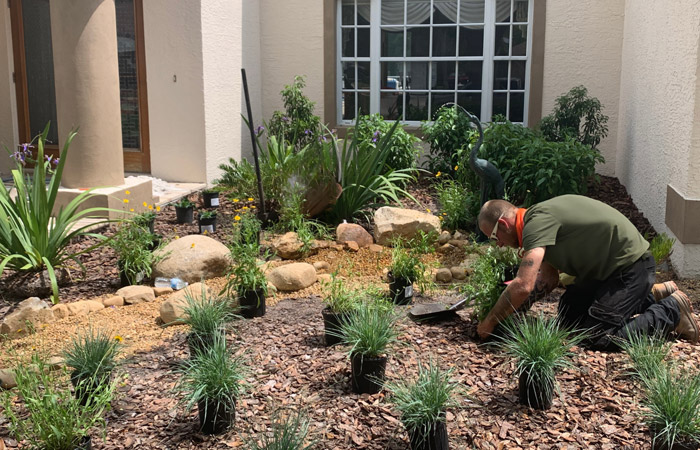 Install planting