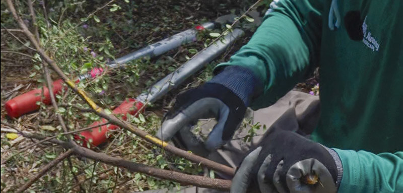 Landscape Maintenance