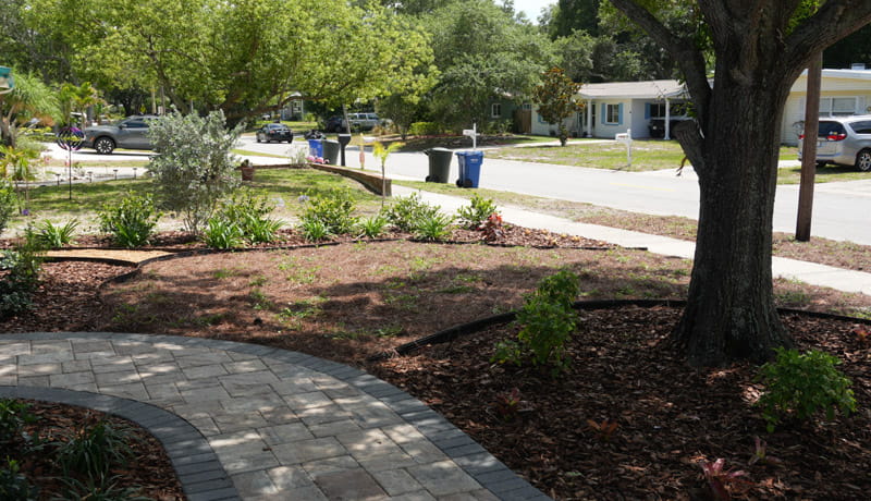 Nelson Complete front driveway view