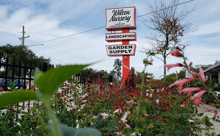 Visit Our Largo Nursery