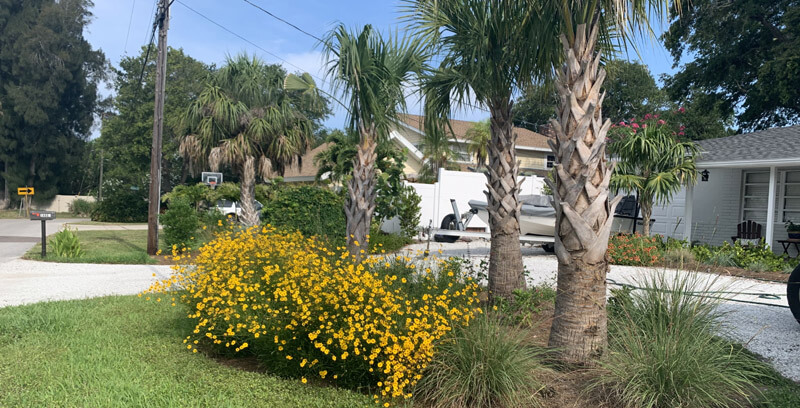 How Seasonal Cleanups Work