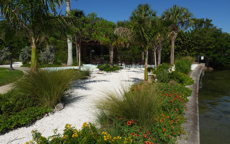 Westminster Shores Garden Maintenance seawall planting and pergola