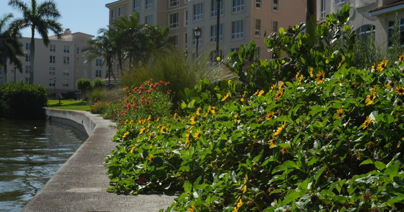 Westminster Shores Garden Maintenance