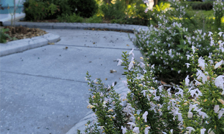 Landscape design